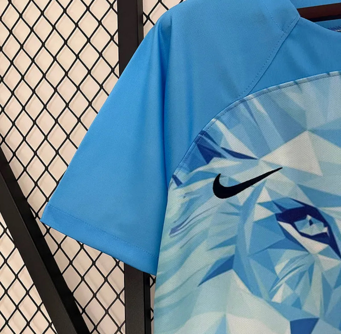 Netherlands "Ice Lion" Special Jersey