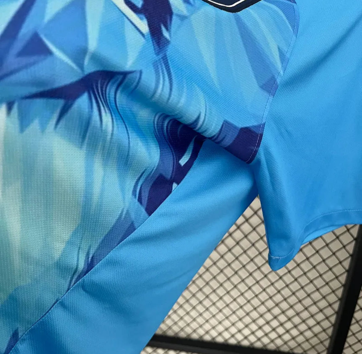 Netherlands "Ice Lion" Special Jersey
