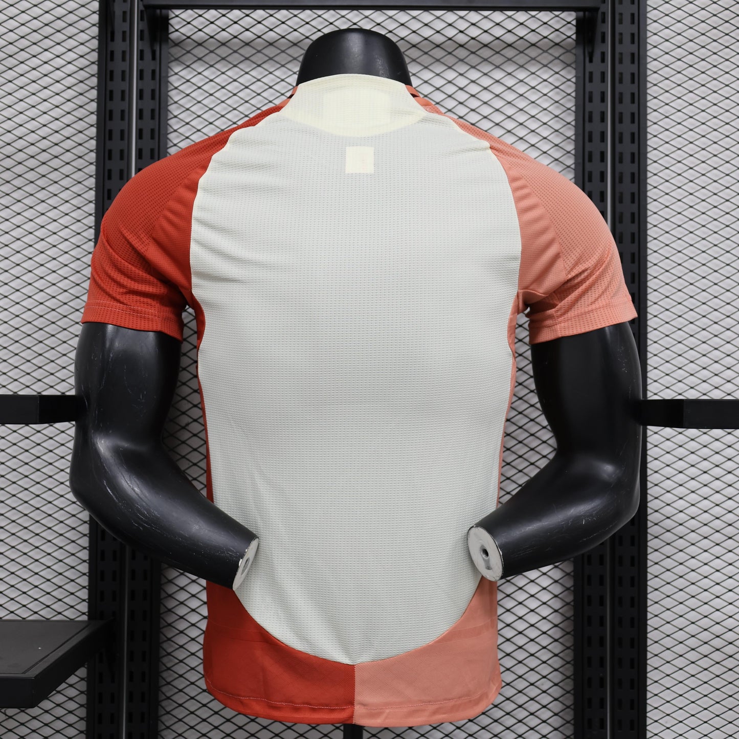 Olympique Lyonals 2024-2025 Third Jersey