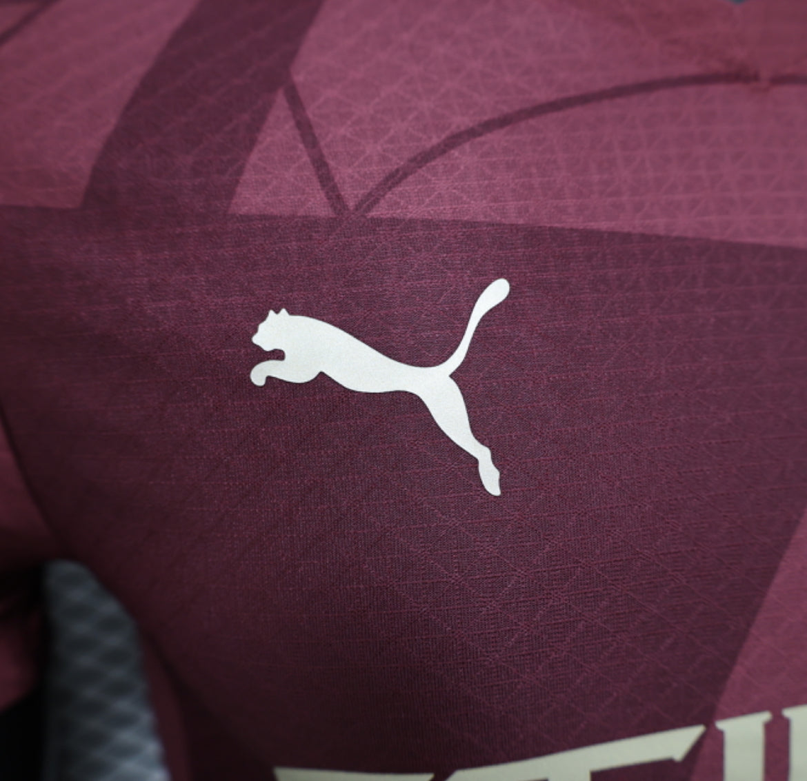 Machester City 2024-2025 Third Jersey