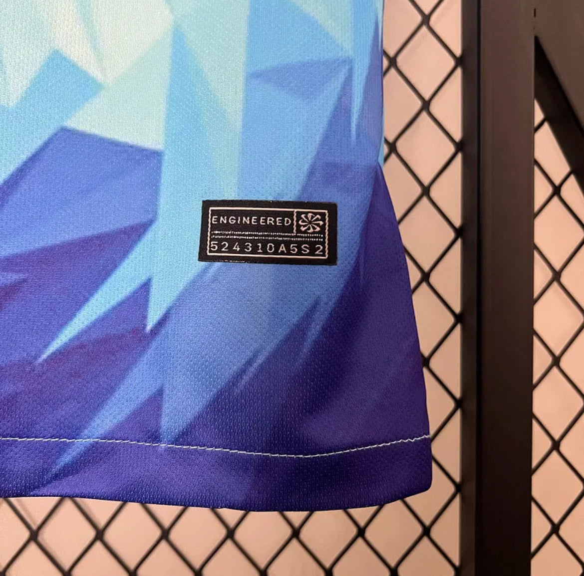 Netherlands "Ice Lion" Special Jersey