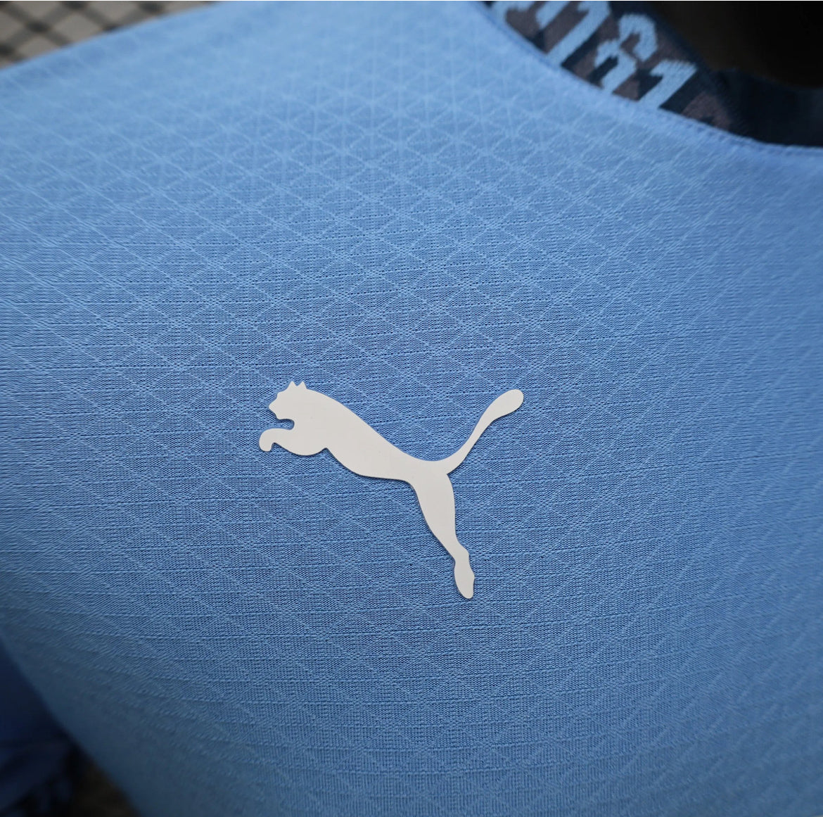 Manchester City 2024-2025 Home Jersey