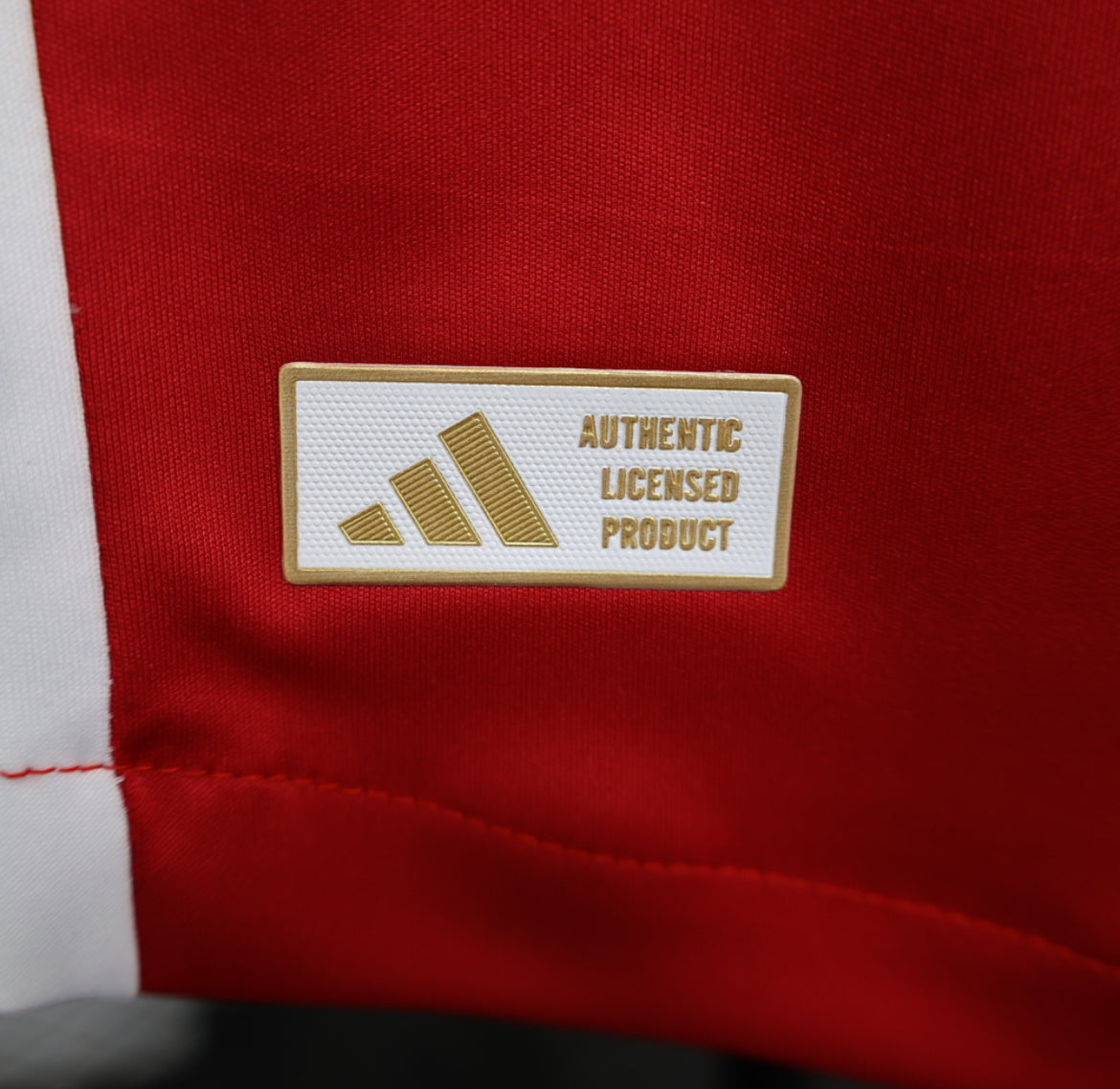 Ajax 2024-2025 Home Jersey