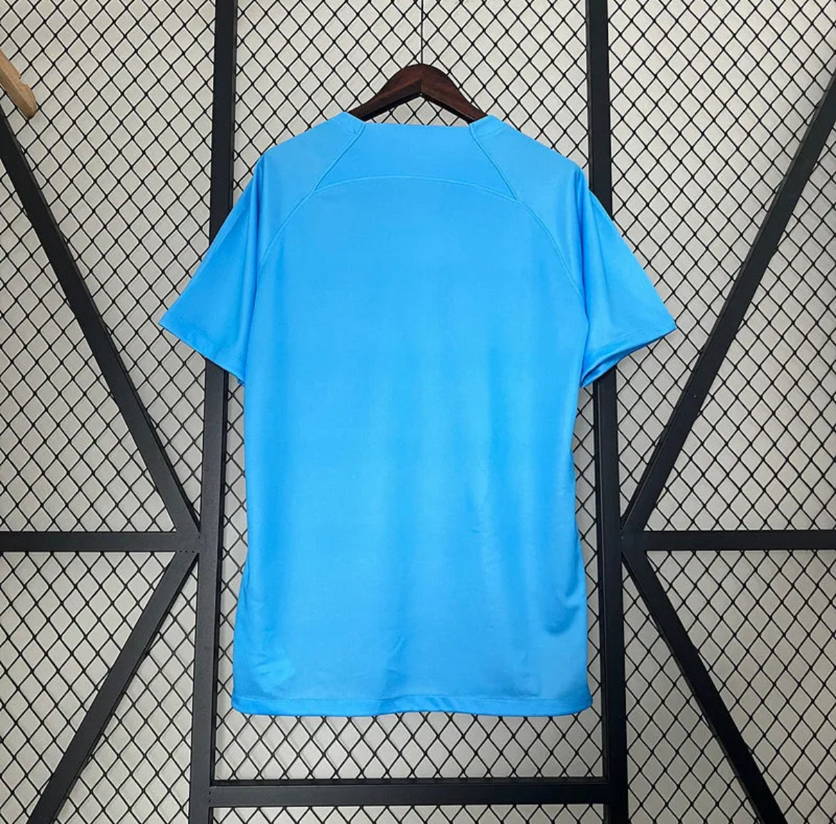 Netherlands "Ice Lion" Special Jersey