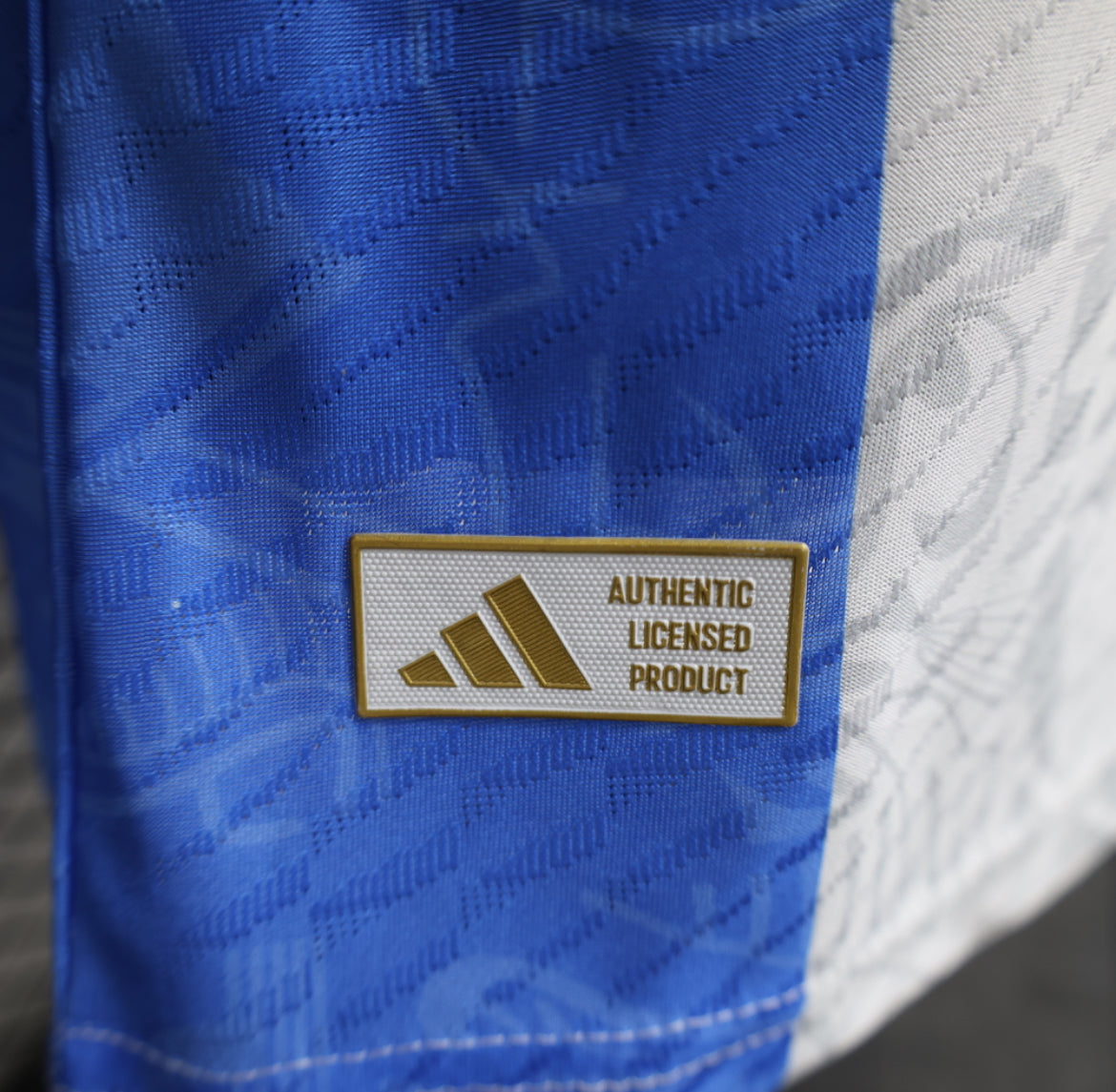 Argentina "Celestial Heritage" Special Jersey