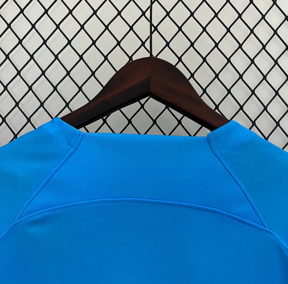 Netherlands "Ice Lion" Special Jersey