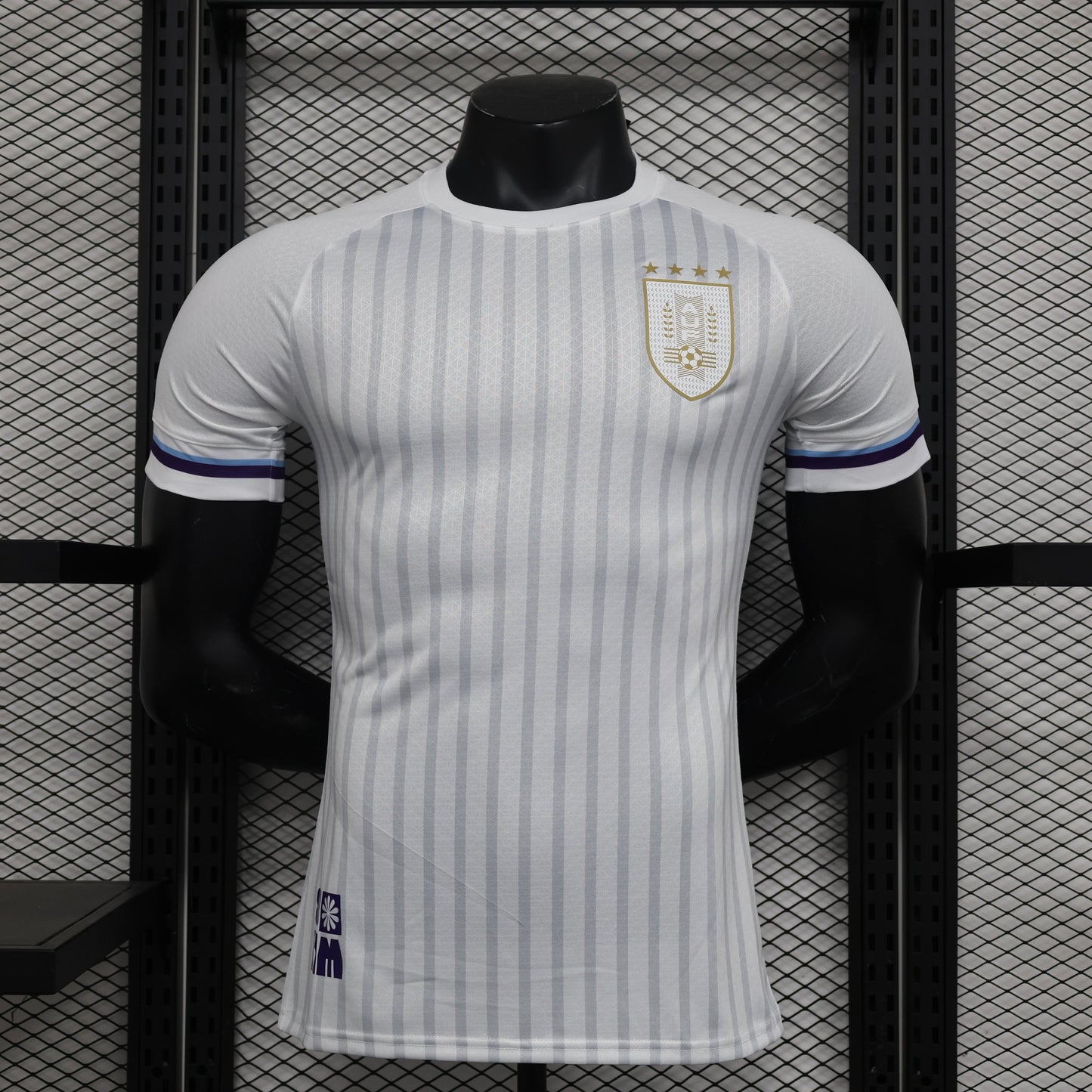 Uruguay 2024-2025 Away Jersey