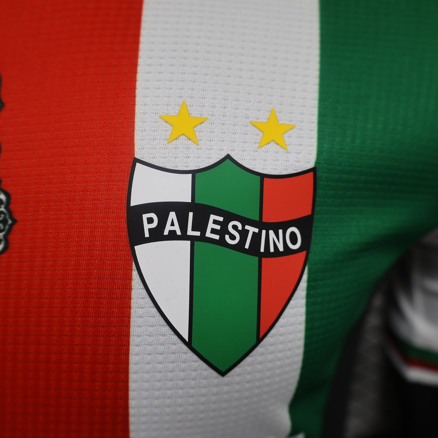 Palestine 2024-2025 Third Jersey