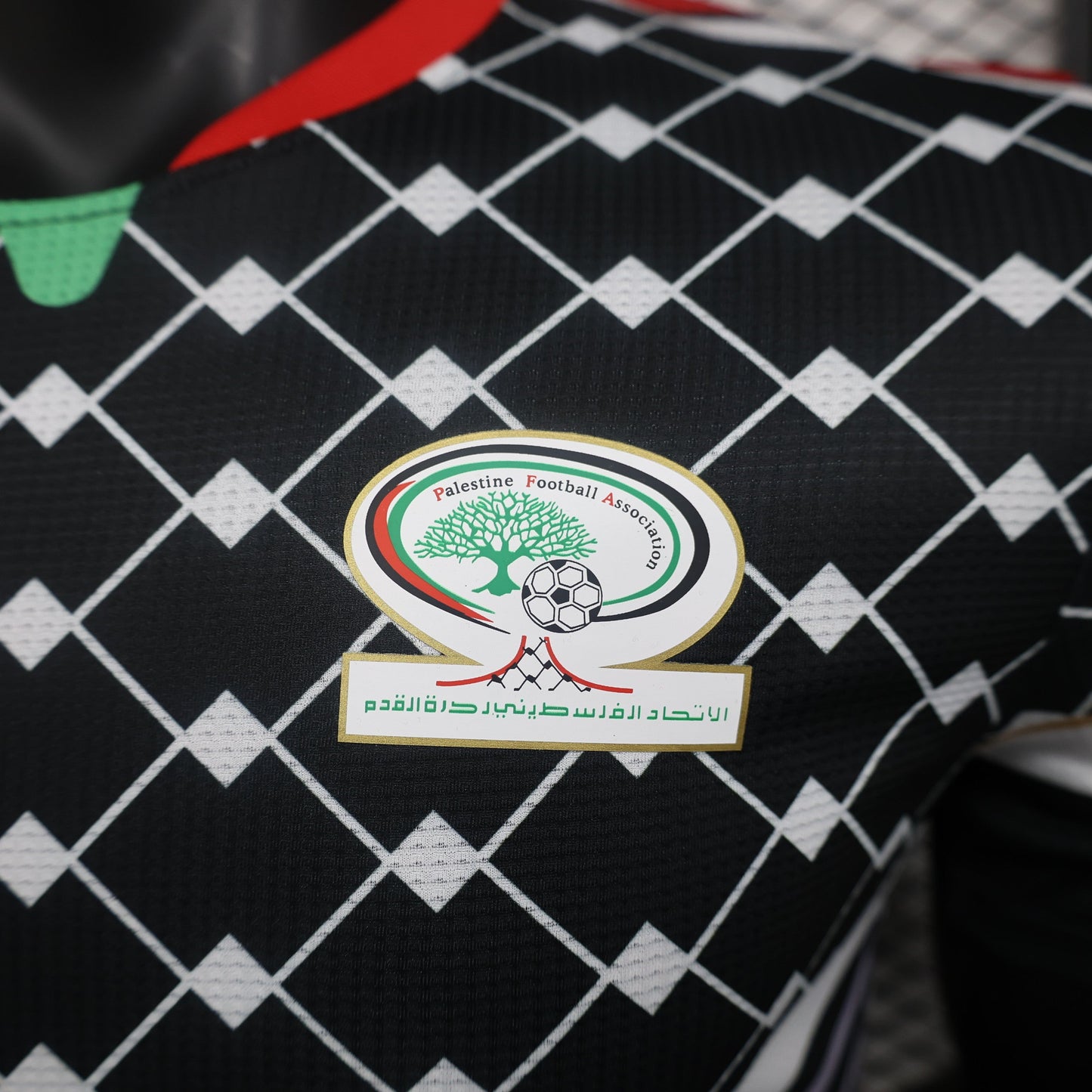 Palestine 2024-2025 Association Jersey