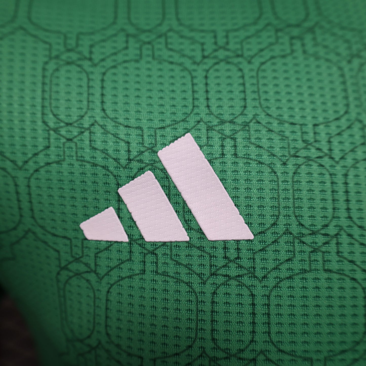 Mexico 2024-2025 Concept Jersey