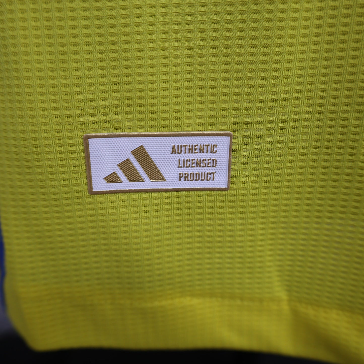 Al Nassr 2024-2025 Home Jersey