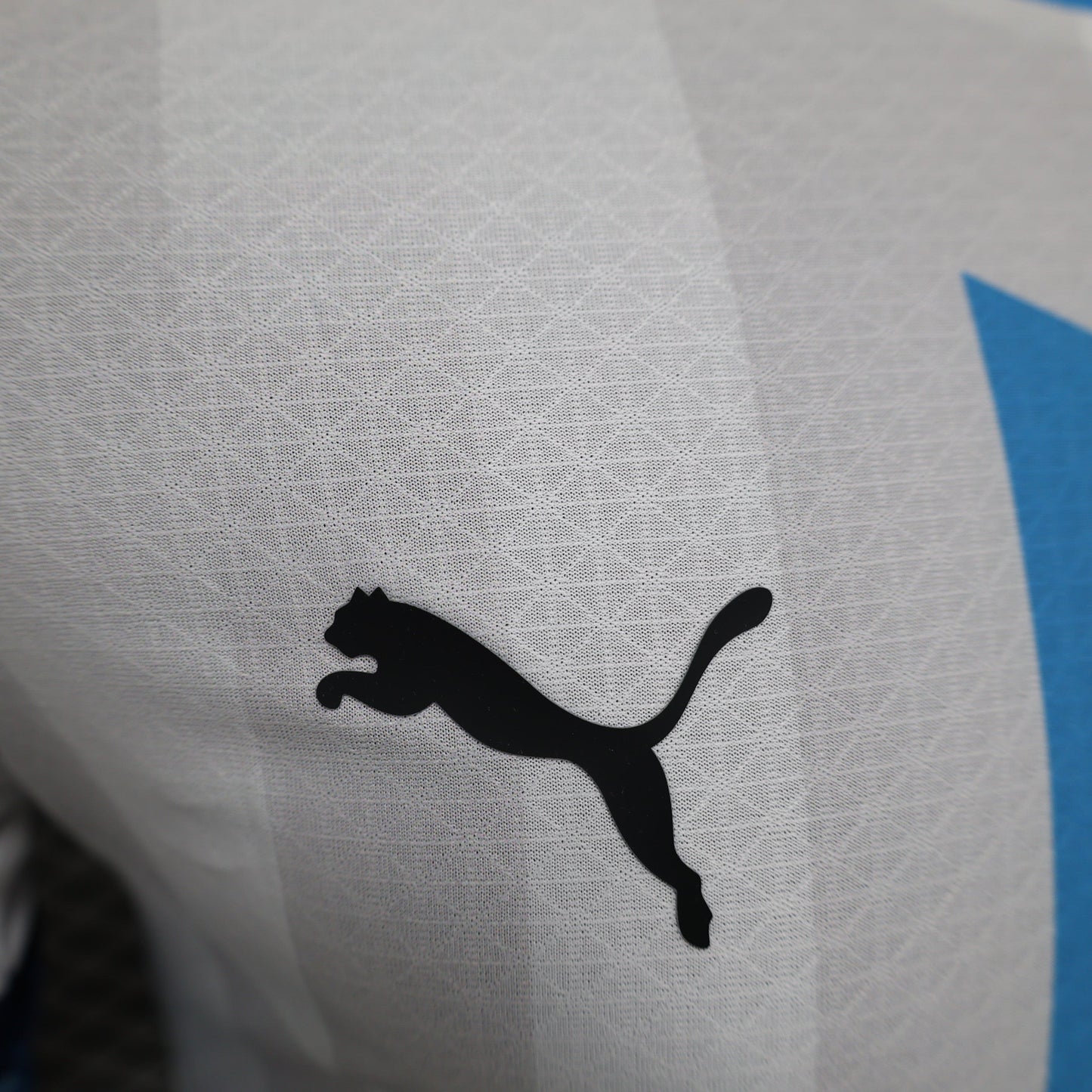 Olympique de Marseille 2024-2025 Home Jersey