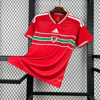 2026 Wales Home World Cup Kit Fan Version