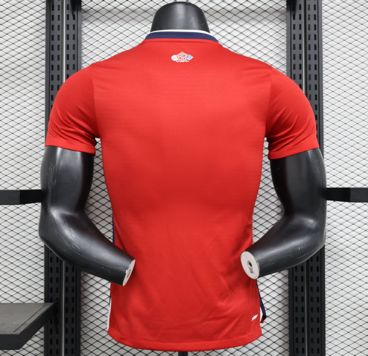 Lille 2024-2025 Home Jersey