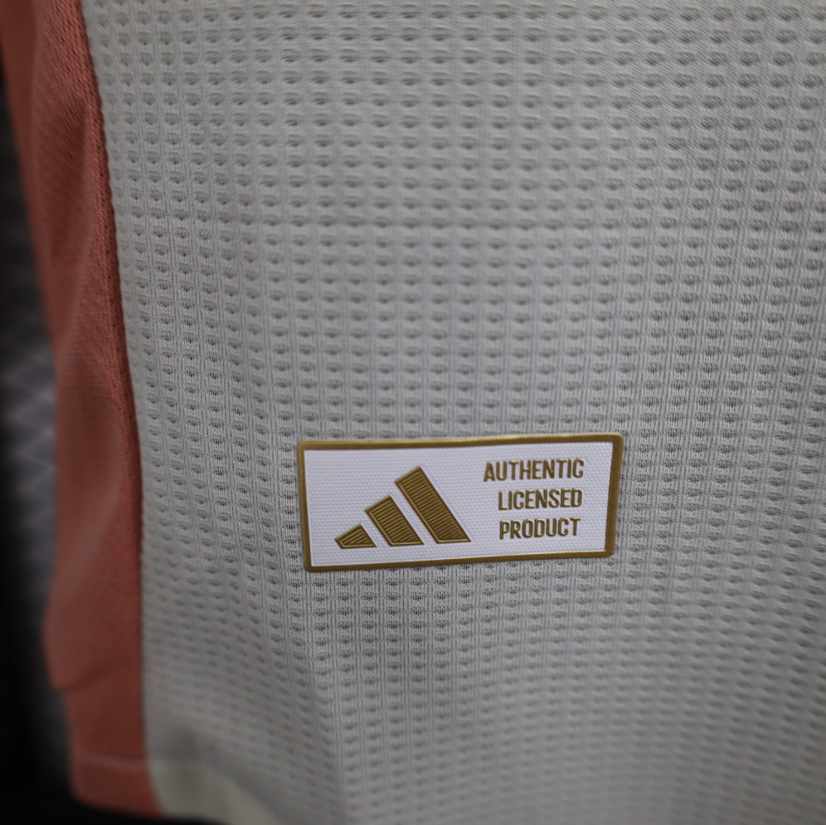 Olympique Lyonnais 2024-2025 Third Jersey
