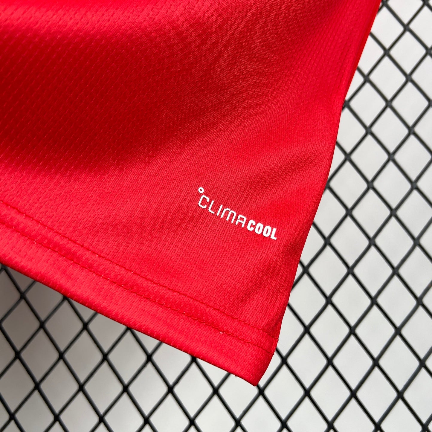 2026 Wales Home World Cup Kit Fan Version