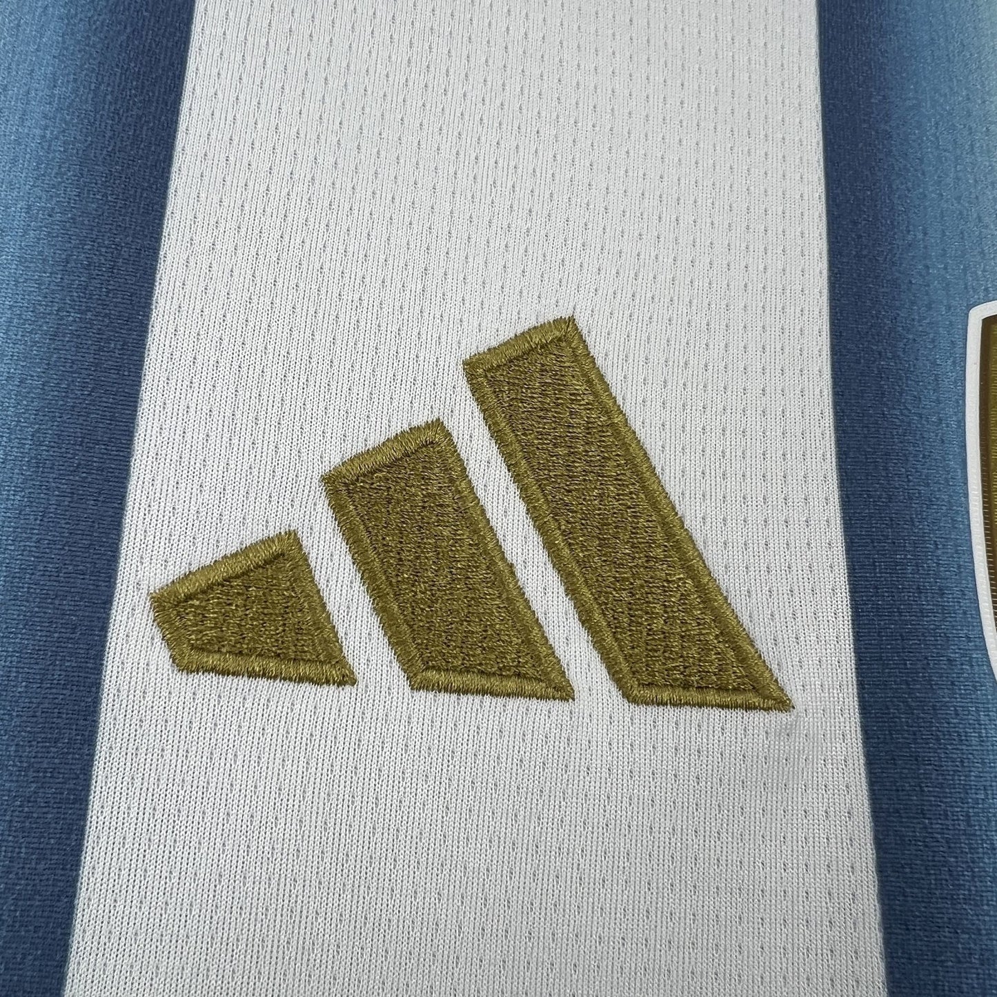 2026 Argentina Home World Cup Kit Fan Version