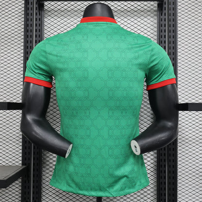Mexico 2024-2025 Concept Jersey