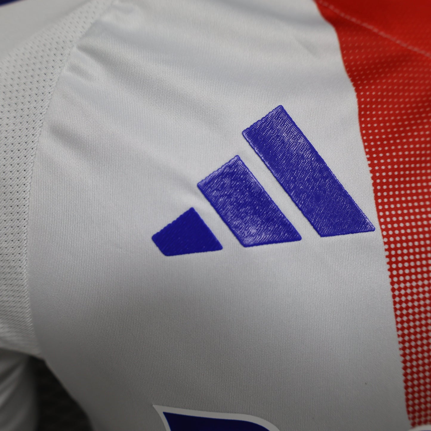 Olympique Lyonnais 2024-2025 Home Jersey