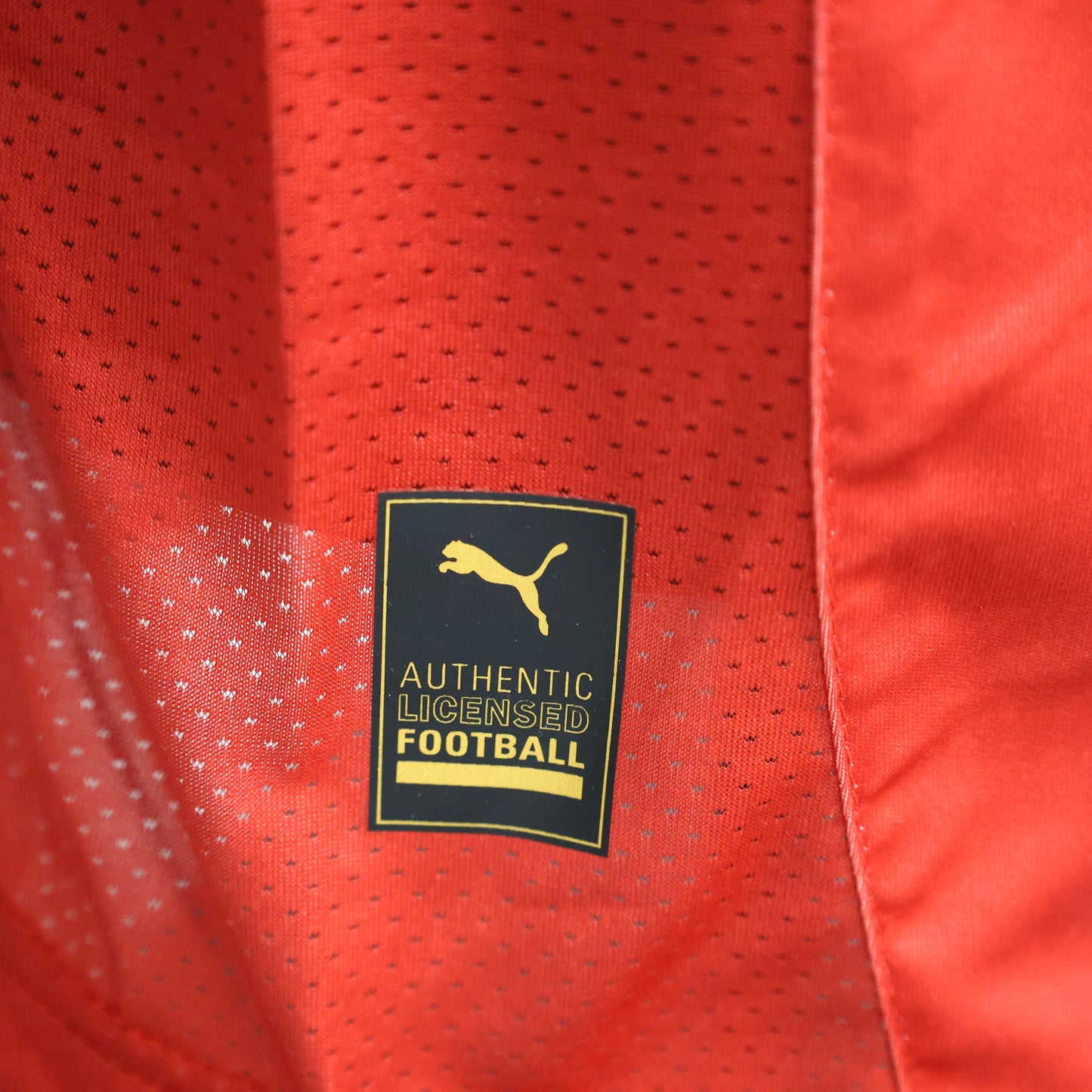 Chivas 2024-2025 Home Jersey