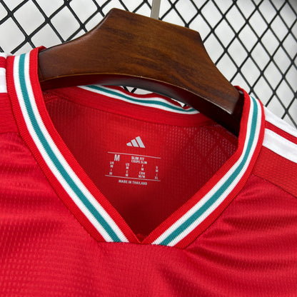 2026 Wales Home World Cup Kit Fan Version