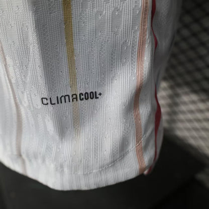 2026 Japan Away World Cup Kit Player Version